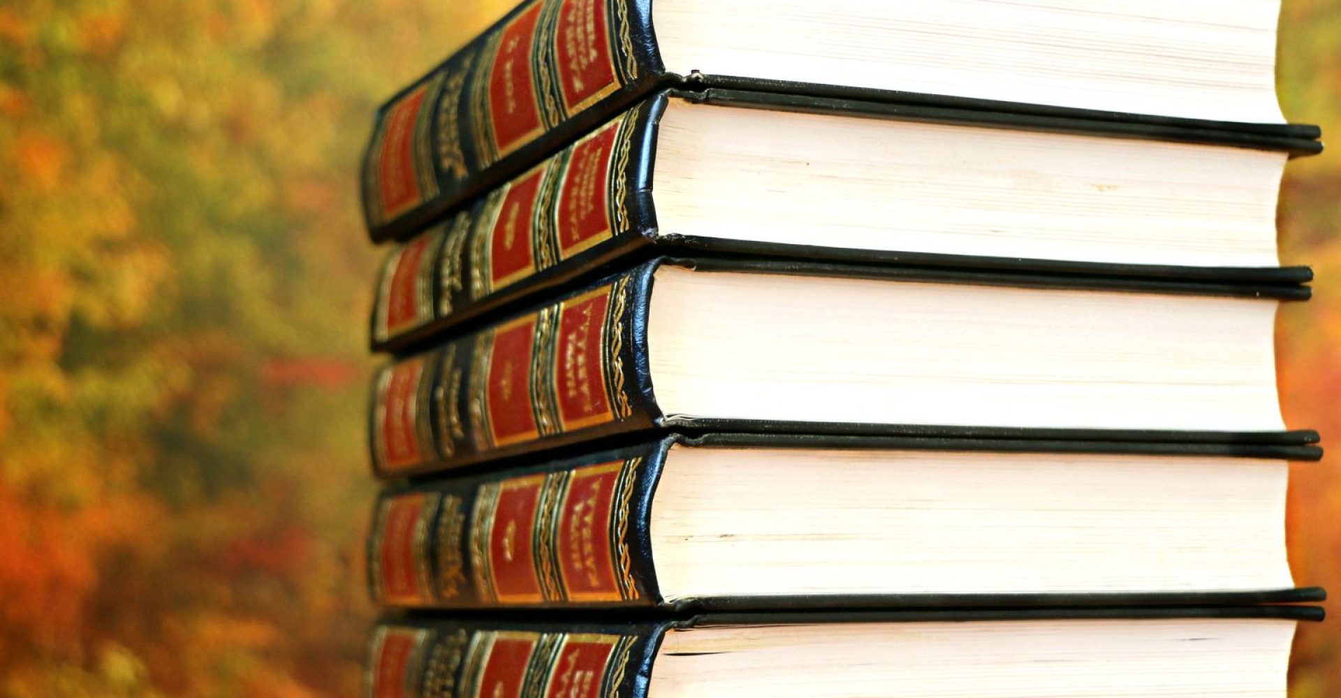 Formação Especializada Código do Trabalho na AIRO