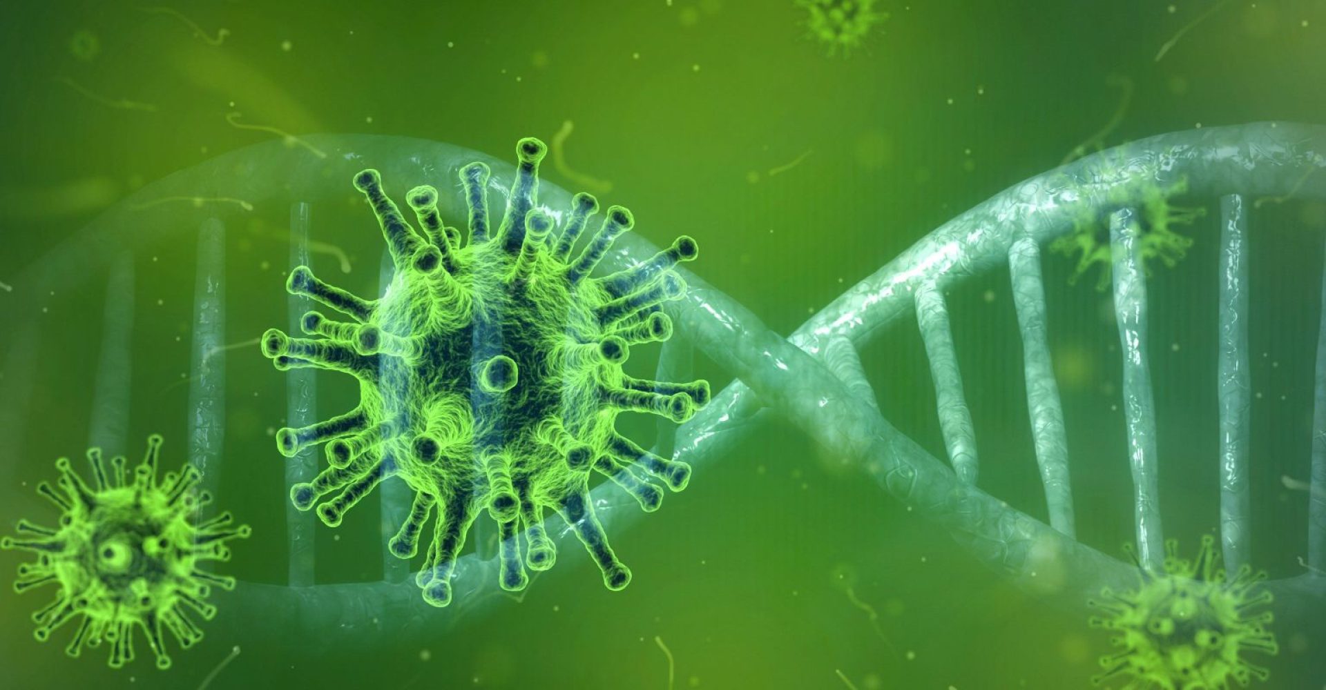 Documentação referente à recente situação da doença COVID-19 (Fase de Contenção)