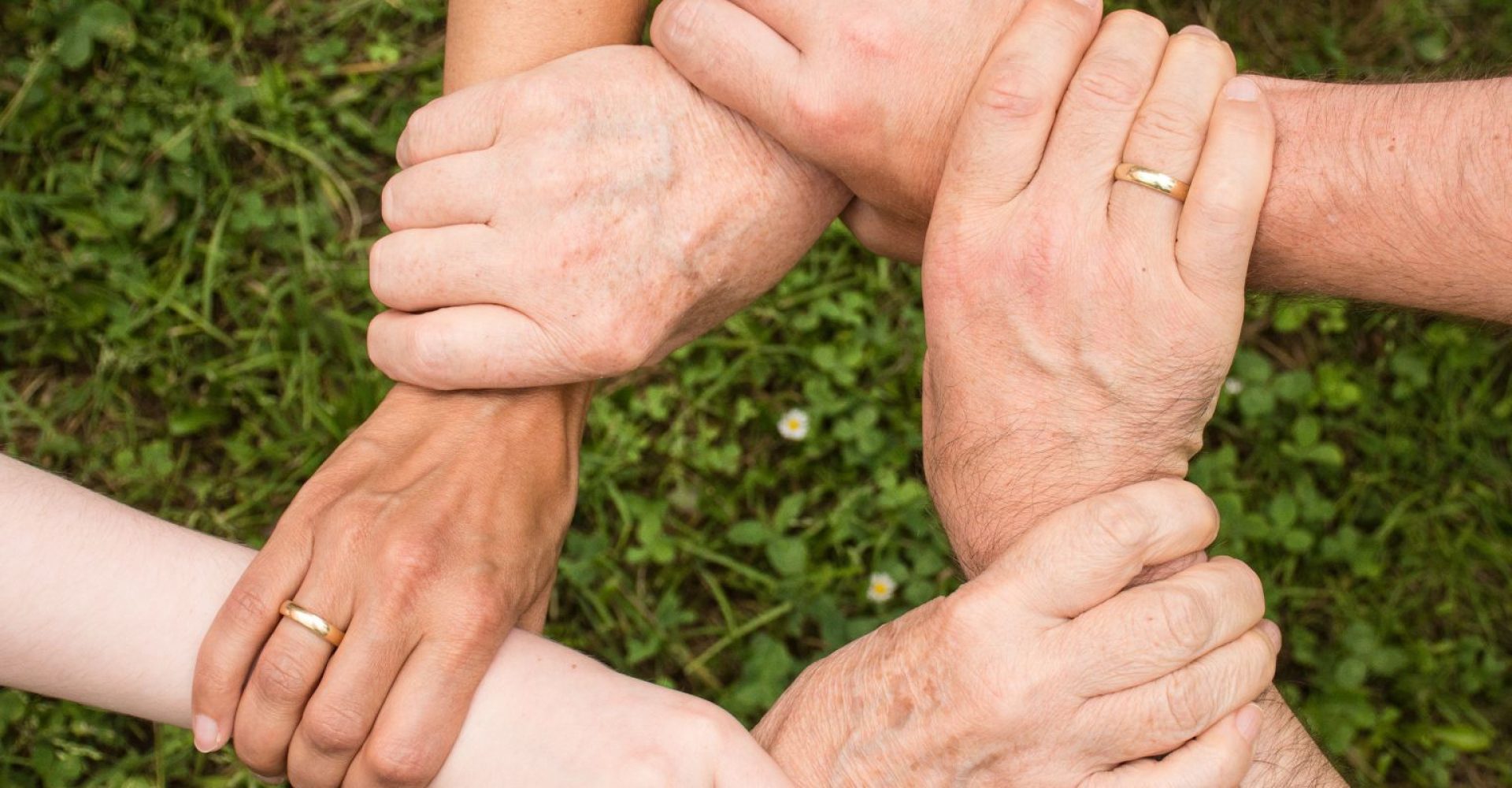 Reforço dos Apoios à Economia e Emprego